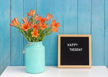 Good Morning Happy Tuesday Quotes and Messages For Couples