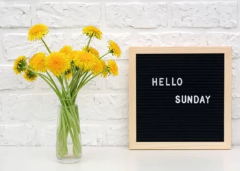 Good Morning Happy Sunday Quotes and Messages