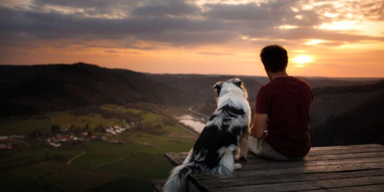 Seven Most Loyal Dog Breeds